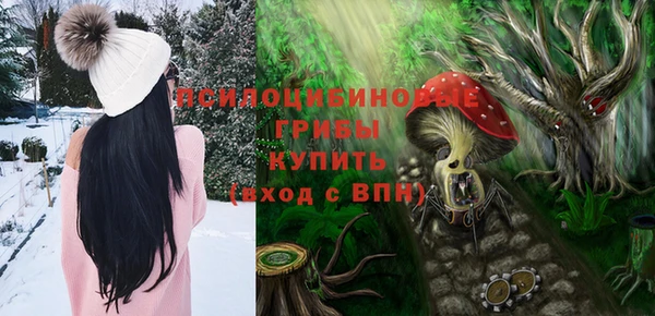 молекула духа Осташков