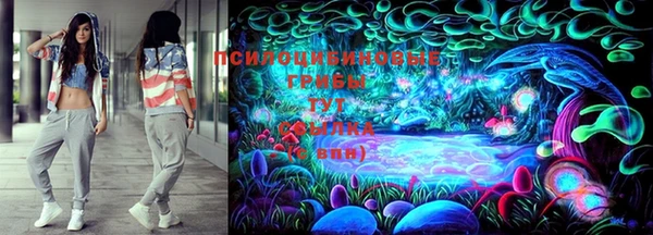 молекула духа Осташков
