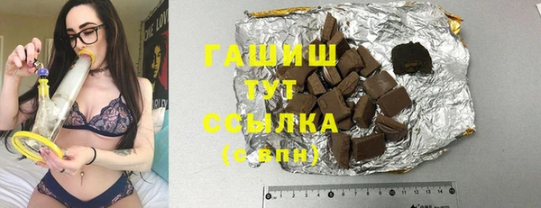 молекула духа Осташков