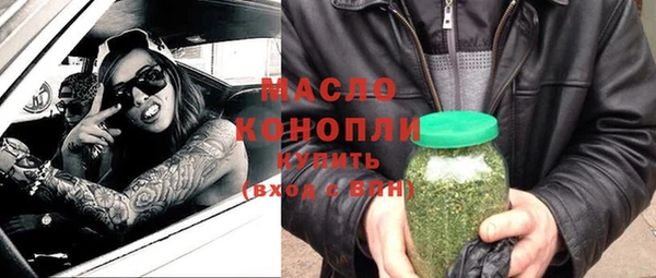 молекула духа Осташков