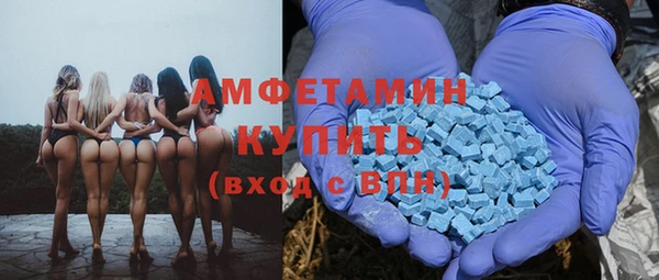 молекула духа Осташков