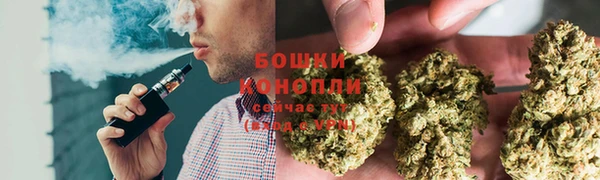молекула духа Осташков
