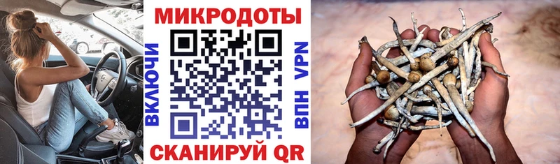 где найти наркотики  Касли  Галлюциногенные грибы Magic Shrooms 